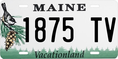ME license plate 1875TV