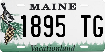ME license plate 1895TG
