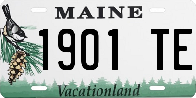 ME license plate 1901TE