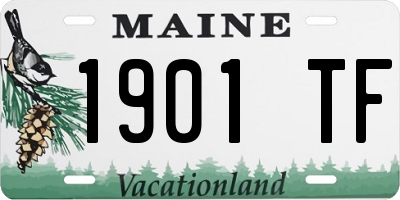 ME license plate 1901TF