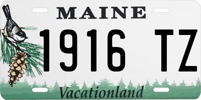 ME license plate 1916TZ