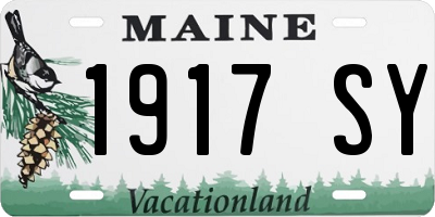 ME license plate 1917SY