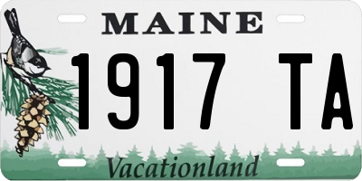 ME license plate 1917TA
