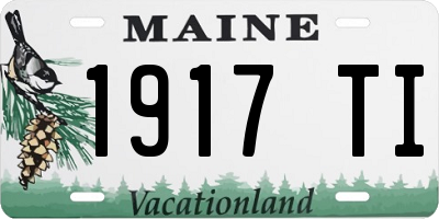 ME license plate 1917TI