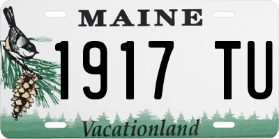 ME license plate 1917TU