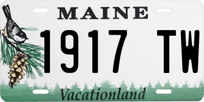 ME license plate 1917TW