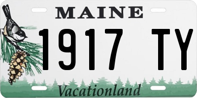 ME license plate 1917TY