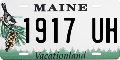 ME license plate 1917UH