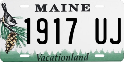 ME license plate 1917UJ