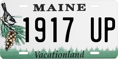 ME license plate 1917UP