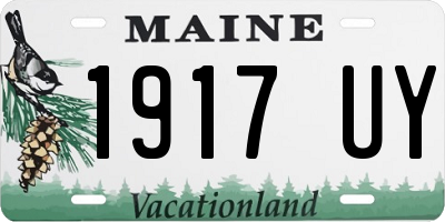 ME license plate 1917UY