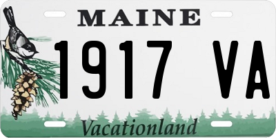 ME license plate 1917VA