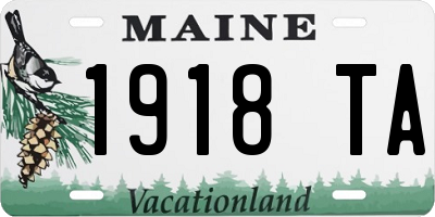 ME license plate 1918TA