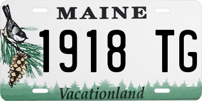 ME license plate 1918TG