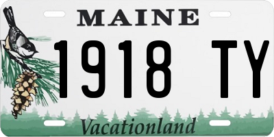ME license plate 1918TY
