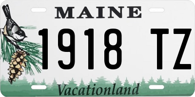 ME license plate 1918TZ