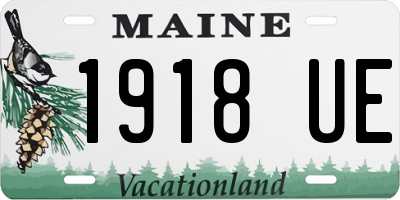 ME license plate 1918UE