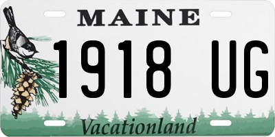 ME license plate 1918UG