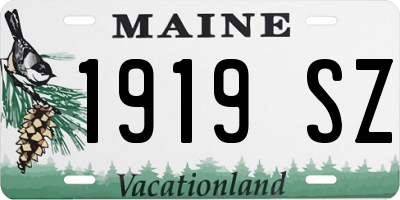 ME license plate 1919SZ
