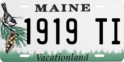 ME license plate 1919TI