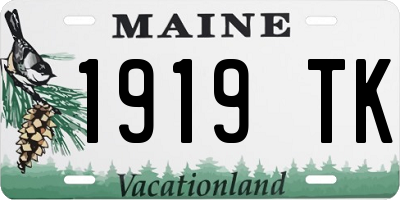 ME license plate 1919TK