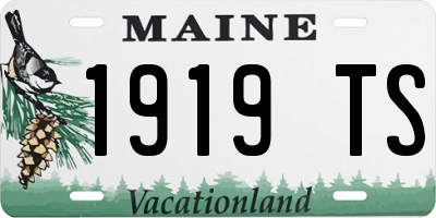 ME license plate 1919TS