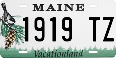 ME license plate 1919TZ