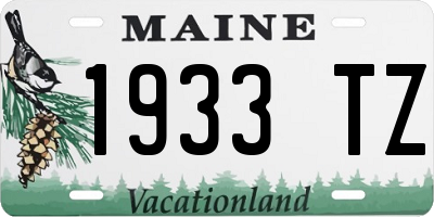 ME license plate 1933TZ