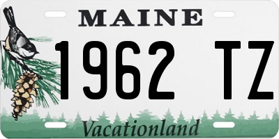 ME license plate 1962TZ