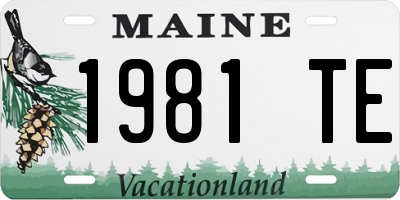 ME license plate 1981TE