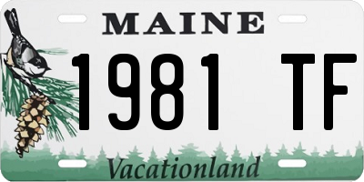 ME license plate 1981TF