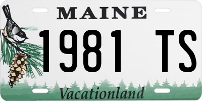 ME license plate 1981TS