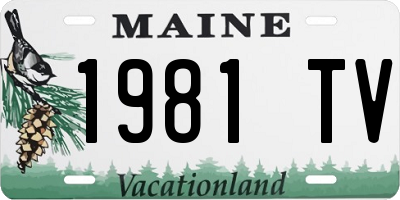 ME license plate 1981TV