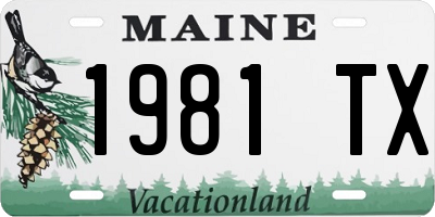 ME license plate 1981TX