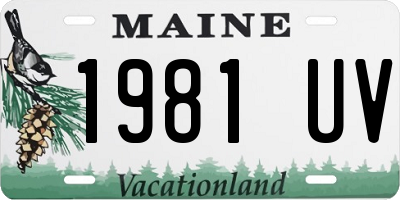 ME license plate 1981UV