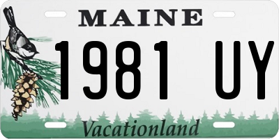 ME license plate 1981UY