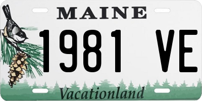 ME license plate 1981VE
