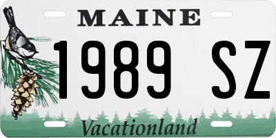ME license plate 1989SZ