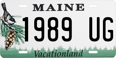 ME license plate 1989UG