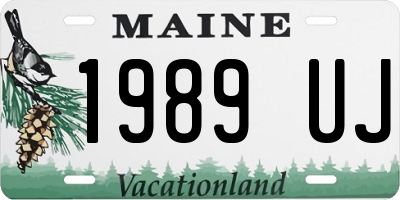 ME license plate 1989UJ