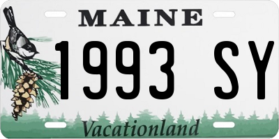ME license plate 1993SY