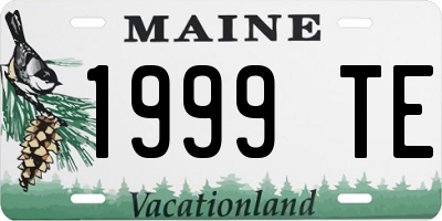 ME license plate 1999TE