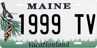 ME license plate 1999TV