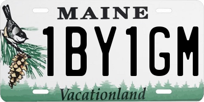 ME license plate 1BY1GM