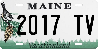 ME license plate 2017TV
