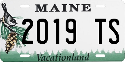 ME license plate 2019TS