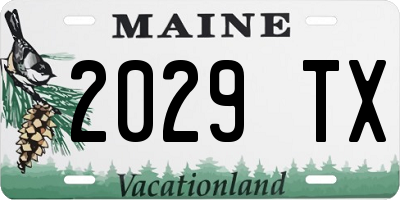 ME license plate 2029TX