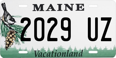ME license plate 2029UZ
