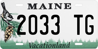ME license plate 2033TG