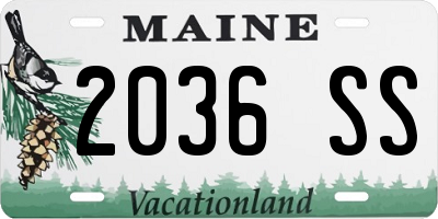 ME license plate 2036SS